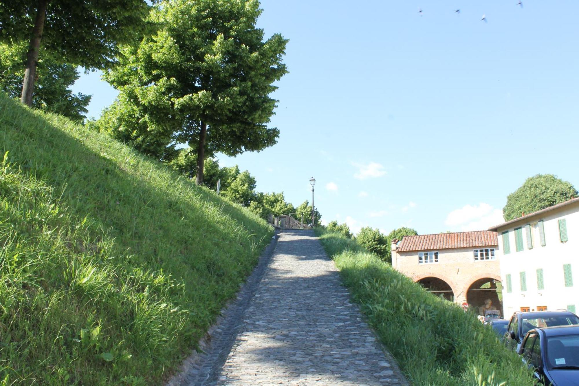 Via Delle Conce * Lucques